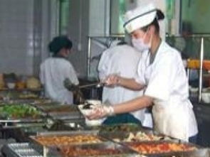 攜手金飯碗，共贏新“食”代 廣州團膳配送與食堂承包服務的品質之選